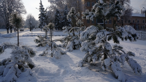 Зимняя сказка в Дружковке (фоторепортаж)