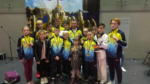 Команда дружковских тхэквондистов успешно выступила на международном турнире в Киеве