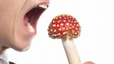 Когда грибы опасны для жизни