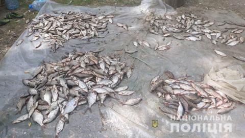 В Харьковской области дружковский браконьер наловил рыбы на 70 тысяч гривен