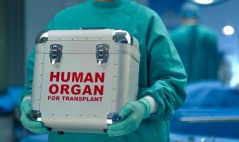 Вступил в силу закон о посмертной трансплантации органов