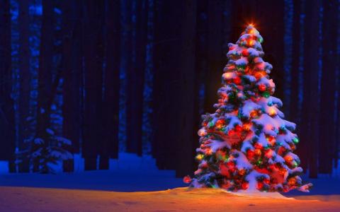 К праздникам в Дружковке нарядят три елки и зажгут новые гирлянды стоимостью почти 50 тысяч гривен