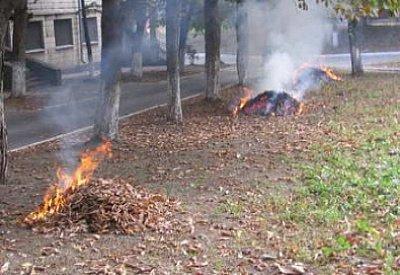 Штраф 20000 гривен за сжигание листьев