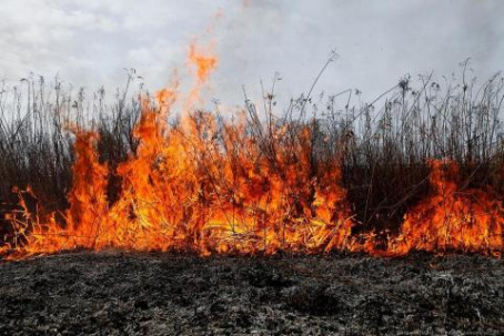 С начала года в Дружковке зафиксировано двадцать восемь пожаров на открытой местности