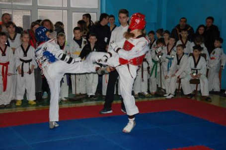 Областной турнир по тхэквондо собрал в Дружковке мастеров боевых искусств (фото)