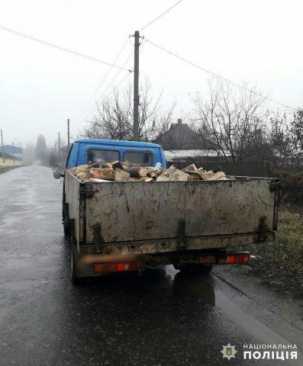 В Дружковке незаконно вырубают деревья