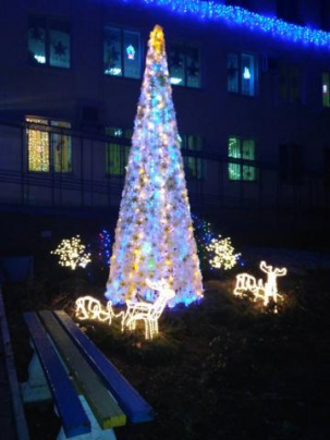 В Дружковке назвали победителя конкурса на лучшее новогоднее оформление фасадов (фото) 