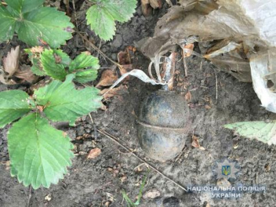 Дружковчанка нашла в огороде боевую гранату