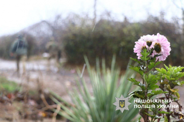 1000013113.jpg 1000013113.jpg