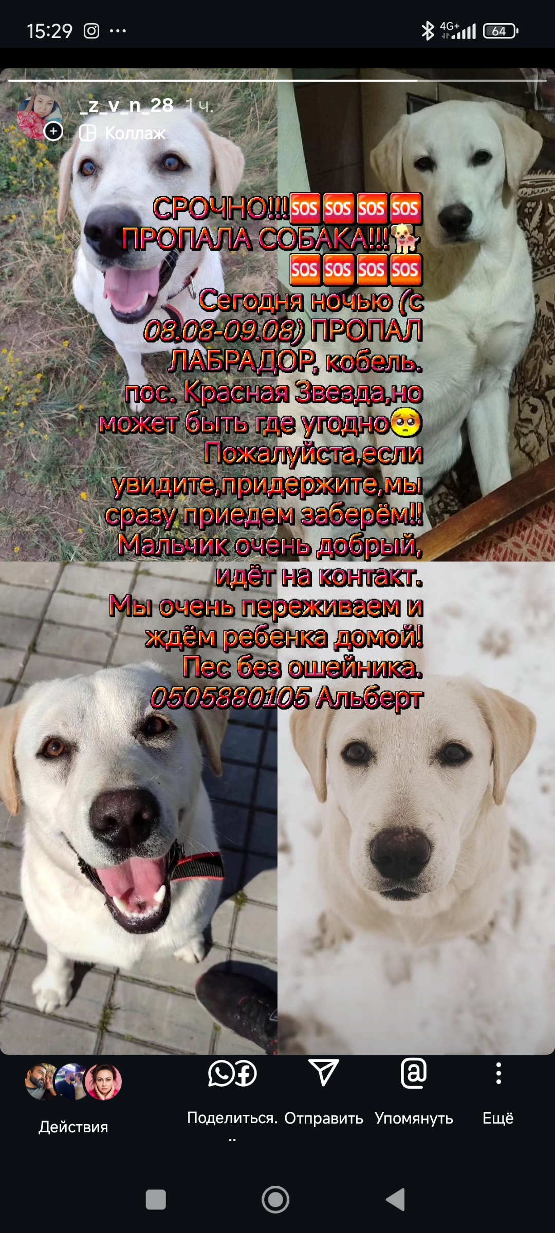 ЗНИК ЛАБРАДОР!!!!!