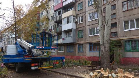 В Дружковке спиливают огромные тополя (Фото)