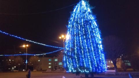 В Дружковке новогодняя елка заиграла яркими огнями (Фото)