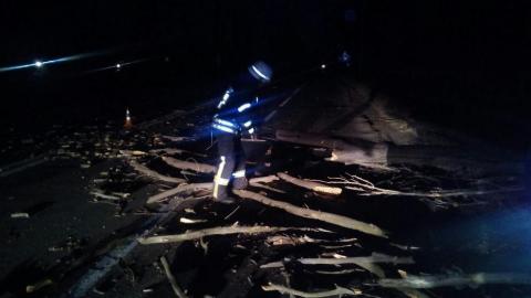 В Дружковке упавшее дерево перекрыло трассу и оборвало провода