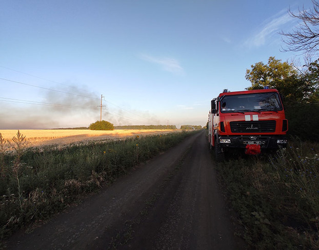 На Донетчине возле уникального заповедника горело пшеничное поле