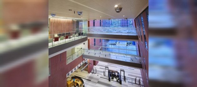 Лечение рака лимфоузлов