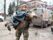 У Дружківці «Білі янголи» та волонтери врятували з-під вогню покинутого алабая