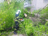 В ГСЧС рассказали о последствиях непогоды в Донецкой области