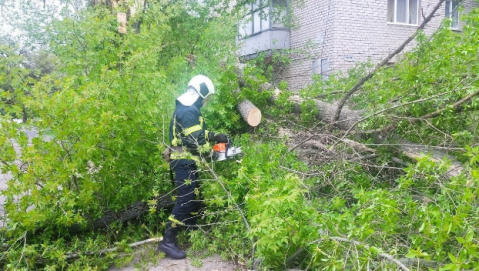 В ГСЧС рассказали о последствиях непогоды в Донецкой области