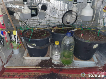 Житель Дружковки оборудовал мини-лабораторию для выращивания конопли в квартире