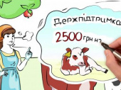 Дружковчане могут получить до 2500 гривен дотации за выращивание теленка