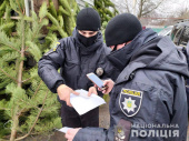 В Дружковке полиция изъяла елок на 9 тысяч гривен