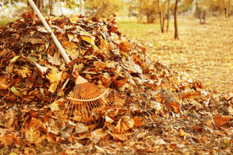 Как в Дружковке будут убирать опавшие листья