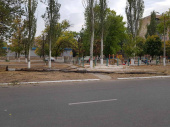 Штормовой ветер в Дружковке: повалено дерево и большая ветка