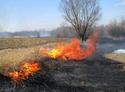 «Муниципальная варта» составила протокол на поджигателя сухой травы