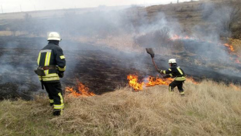 За последние сутки спасатели области 49 раз выезжали на тушение пожаров