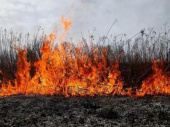 С начала года в Дружковке зафиксировано двадцать восемь пожаров на открытой местности