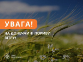 На Донеччині очікуються пориви вітру