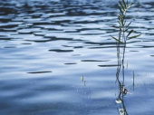 Тело утонувшего подростка в Дружковке достали водолазы