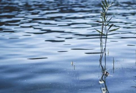 Тело утонувшего подростка в Дружковке достали водолазы