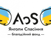 «Янголи спасіння» проводять опитування для оцінки потреб в гуманітарній допомозі