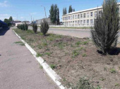 Дружковчанину, который выкопал кустарники возле завода «Грета», вынесли приговор