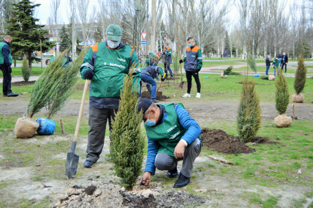 Сотрудники VESCO внесли свой вклад в озеленение Дружковки, высадив саженцы возле Места влюбленных
