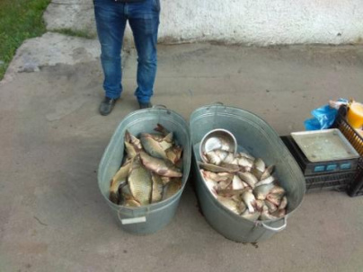 За торговлю рыбой с рук дружковчанин заплатит 540 гривен штрафа