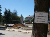 Деревья на площади взяты под охрану (ФОТО, ВИДЕО)