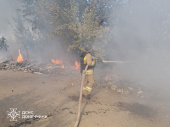 У Дружківці горіла суха трава