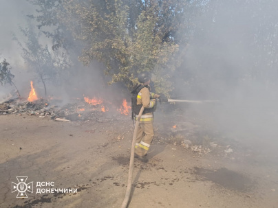 У Дружківці горіла суха трава