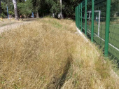 В Дружковке новое футбольное поле заросло травой 
