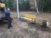 В Молодом парке устанавливают лавочки 