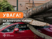 Погіршення погодних умов: пориви вітру на Донеччині!