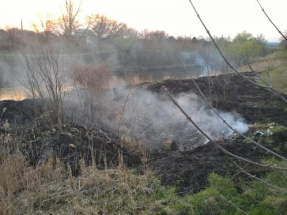 В Дружковке снова горела сухая трава
