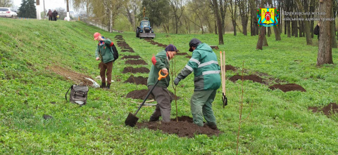 У Дружківці висаджують саджанці від лісівників Хмельниччини У Дружківці висаджують саджанці від лісівників Хмельниччини