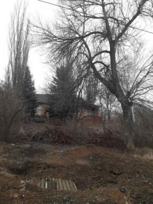 Жители Дружковки просят убрать аварийные деревья