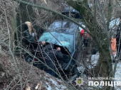 В Дружковке перевернулся автомобиль с пассажирами