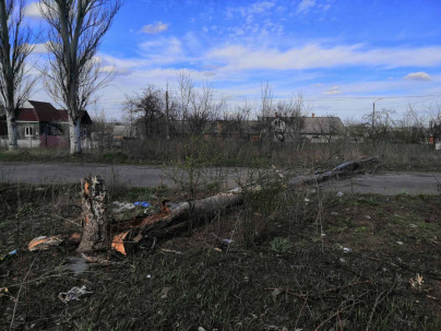 Непогода в Дружковке: упавшее дерево повредило провода электроснабжения