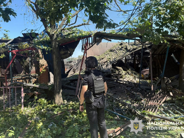 У Дружківці «Гербера» та FPV-дрон пошкодили будинки