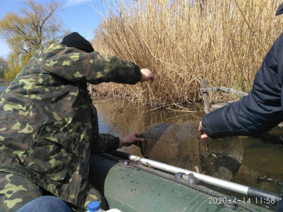 В Кривом Торце между Дружковкой и Константиновкой экологическая инспекция нашла рыболовные сети